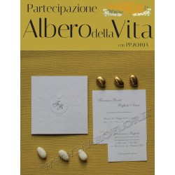 Claraluna Partecipazioni 2019 Albero